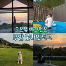 도그의하루 | 목포 애견동반펜션 무안 굿나잇도그 | 견종 제한없는 오션뷰 애견 펜션 내돈내산 후기