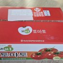 토마토ll