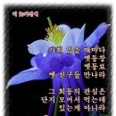 연신유도체육관 이미지