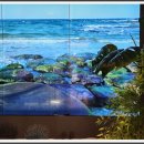 스테이 하운드 이미지