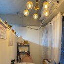 블랙스완래쉬 이미지