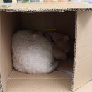 디저트39 여수교동점 이미지