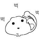 백련세차 이미지