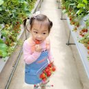 학곡농장 | 양평농촌나드리 반찬원정대 대박 체험