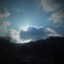 여름농장 이미지