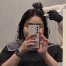 대경프라자(탑빌딩) | 공덕 두피관리 :: 탑스칼프 마포점 | 모근강화관리 25회차 후기