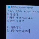 덜 사랑하면 슬픔이 생기지 않을 수 있을까.