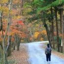 국내 가을여행지 / 곡성 태안사 단풍여행 힐링하러 이미지