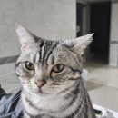 연일참기름 | 연산동 배달 횟집 가성비 좋고 신선한 연일시장 신선횟집