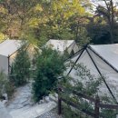 김포농업협동조합 하나로마트 | 서울 근교 감성 글램핑 김포 여울지숲속캠핑장