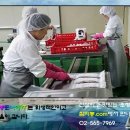 따봉코리아(주) 네이버블로그