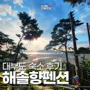 펜션 향 | [안산] 대부도펜션 &#39;해솔향펜션&#39; 이용후기 : 대부도 숙소 후기
