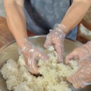 담양을 담다 이미지