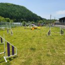 돌담펫호텔 이미지