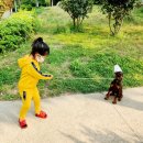 노블라인 도베르만 이미지