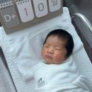 분당 정자역 디에르 산후조리원 내돈내산 2주 후기 (룸, 마사지, 밥, 프로그램, 모자동실)