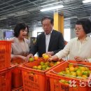 위미사랑하우스 이미지