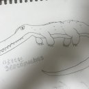 사르코수쿠스 이미지