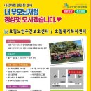 통기타(주간) 이미지