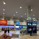 안녕하세우 | #소소한 16주차 임산부 오사카 태교여행 후기 (정보 쏙쏙)