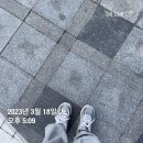 다정동_가온314동앞 | 종촌동 아파트 분석과 가재마을10단지, 12단지 매물 비교