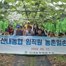 산내농장 이미지