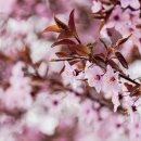 경상북도농약사 이미지