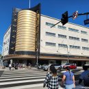 스타자동차(주)(스타자동차태양광) | [캘리포니아 여행] 로스앤젤레스 피터슨 자동차 박물관: 멋진 차들 다 모여!