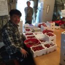 김성곤농장 이미지