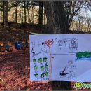 숲으로 가는 어린이집 이미지