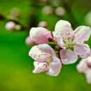 의성문화회관 이미지