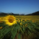 곰소농장 이미지