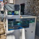 대보름생아구찜 이미지