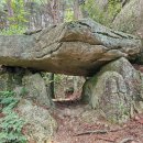 육모정민박 이미지