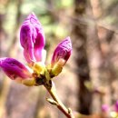 산곡남초등학교 이미지