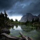 자연의 꿈 이미지