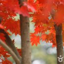 동두천-013 이미지