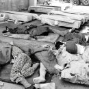 심지주유소 이미지