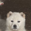 이일수 이미지