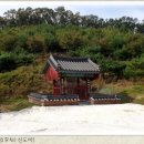 이점신도비 이미지