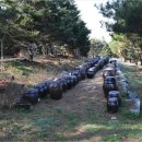 SKJ상경원요양병원 이미지