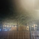아우내 관광농원 이미지