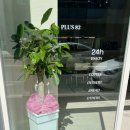 플러스82 티스토리