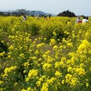 주포초등학교 이미지