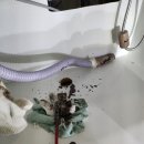 성북-길음-3654 | 성북구 싱크대막힘·하수구역류 급발진?! 정릉동 하수구컴퍼니D&amp;C 덕에 10분 컷 해결 후기💦