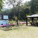 클럽프리모 이미지