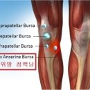 군자탑정형외과의원 이미지