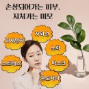 서울 에스테틱