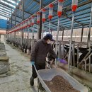 청결농장 이미지