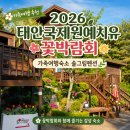 펜션명문 | :2026태안국제원예치유 꽃박람회 가족여행숙소로 알뜰하게 솔그림펜션 즐기기
